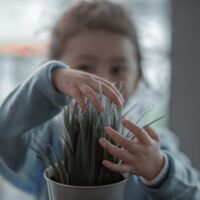 Pendekatan Holistik dalam Pendidikan Anak